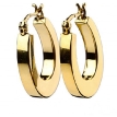 Серьги, серебро 925 001 01 22-00425 2010 г инфо 12364z.